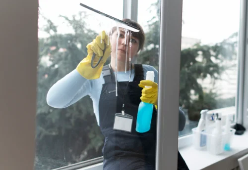 Nettoyage de vitres intérieures et extérieures à Trédion